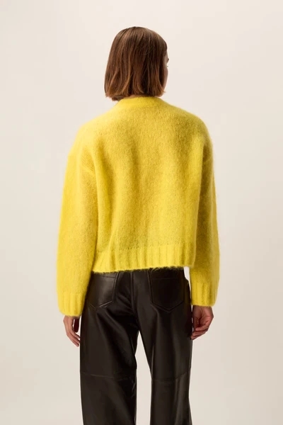 PULL BLOOM ZESTE - Afbeelding 2